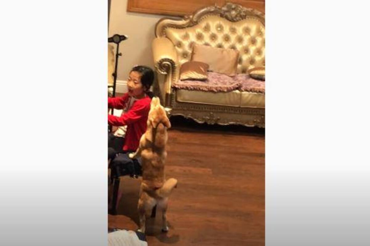 VIRAL: Perro acompaña a su dueña cantando mientras ella toca el piano
