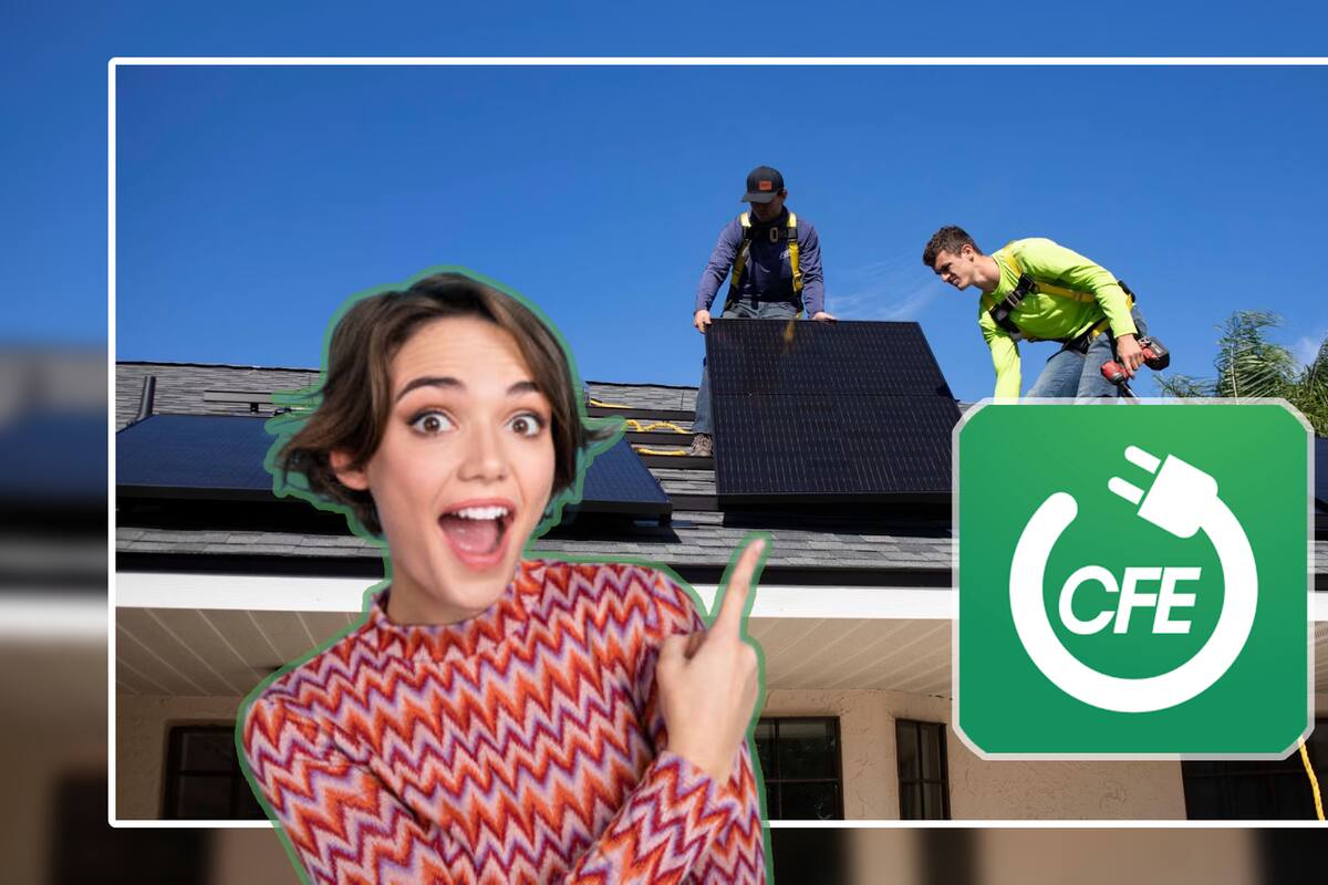 Paneles solares CFE: ¿Cómo conseguirlos y cuál es el costo?