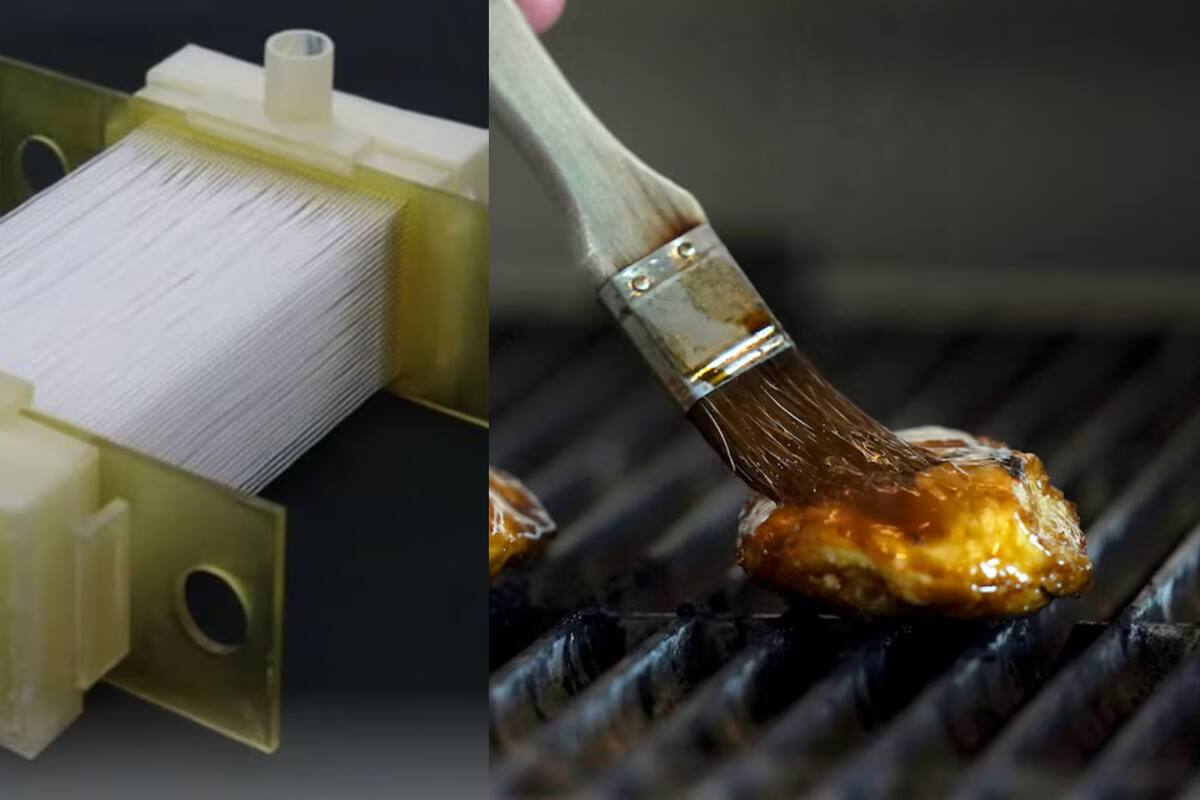 Científicos japoneses logran cultivar nuggets de pollo en laboratorio