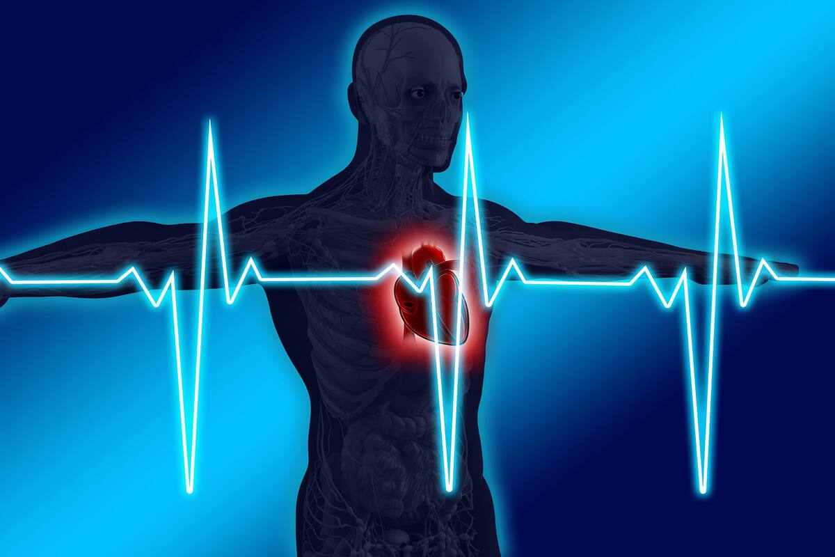 Sigue estos consejos para mejorar la salud cardiaca