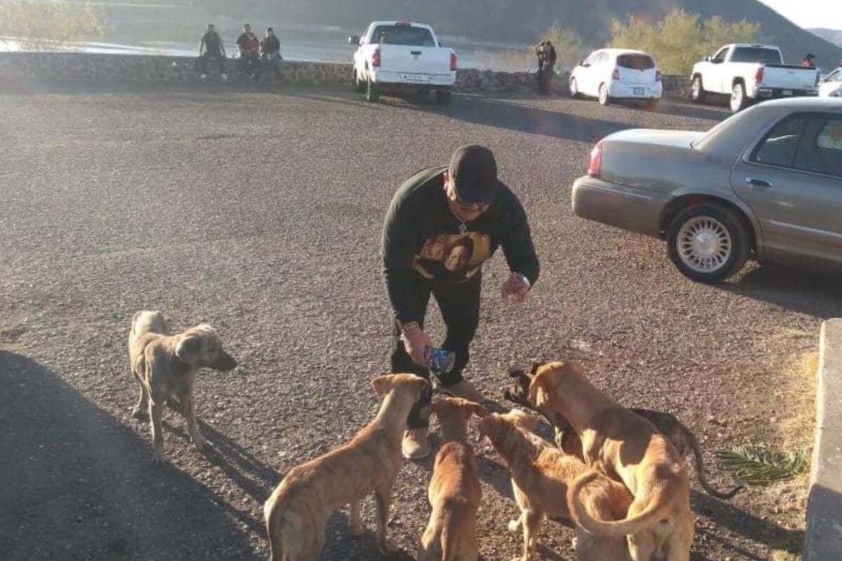 Aumenta abandono de perros alrededor de “El Oviáchic”