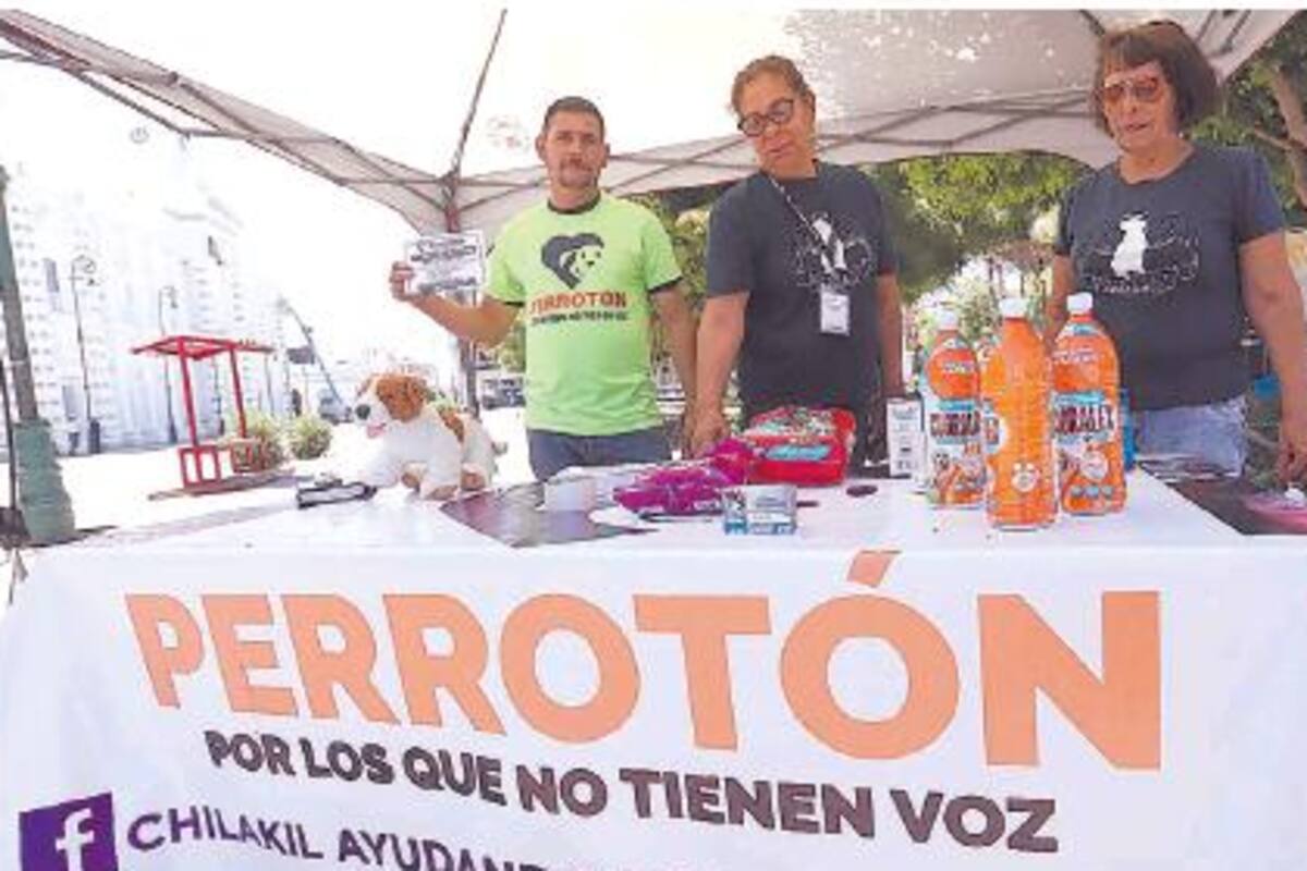 Solicitan apoyo para rescatistas caninos