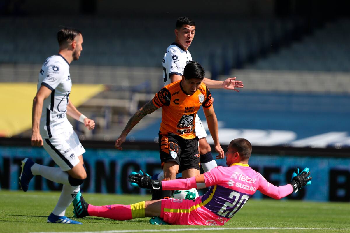 León se fortalece con llegada de nuevo refuerzo