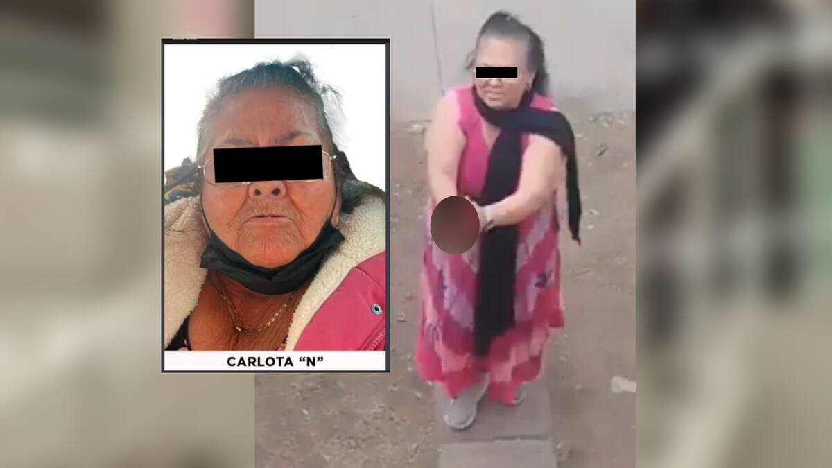 Carlota "N" está señalada por homicidio calificado tras disparar contra dos hombres que acusó de invadir su casa en Chalco; ¿qué castigo podría enfrentar? | Captura de video