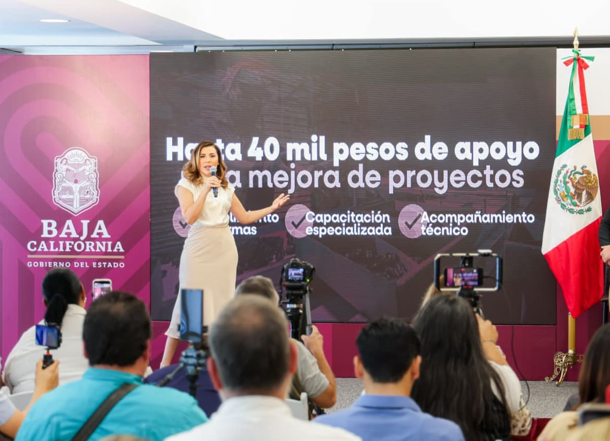 La estrategia “Sabores del Campo” busca promover el consumo de productos cultivados en Baja California, fortalecer a los productores locales y acercar sus alimentos a restaurantes y familias de la entidad. Foto: Cortesía.