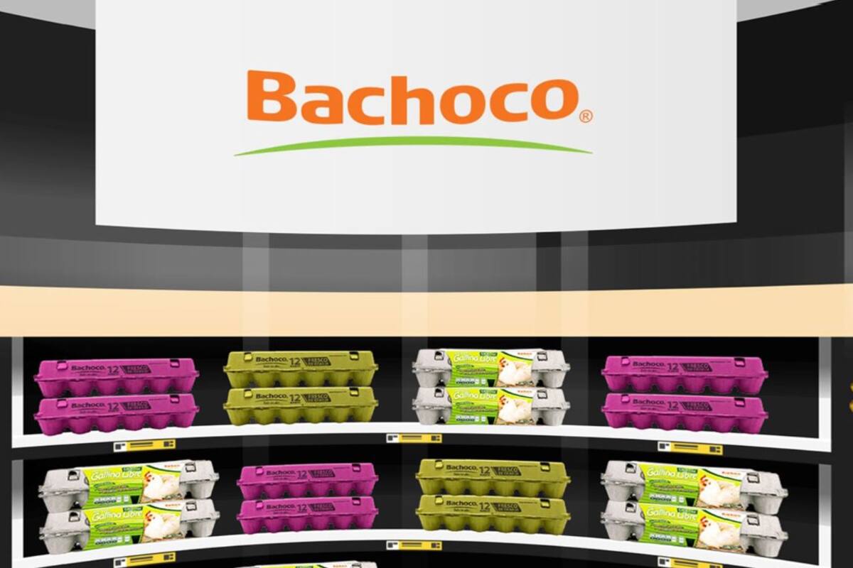 Empresa Bachoco compra Norson, productora de cerdo