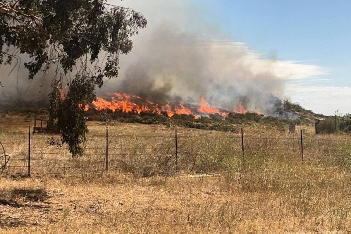 Rescatan a cinco personas atrapadas en incendio forestal en Valle de Guadalupe