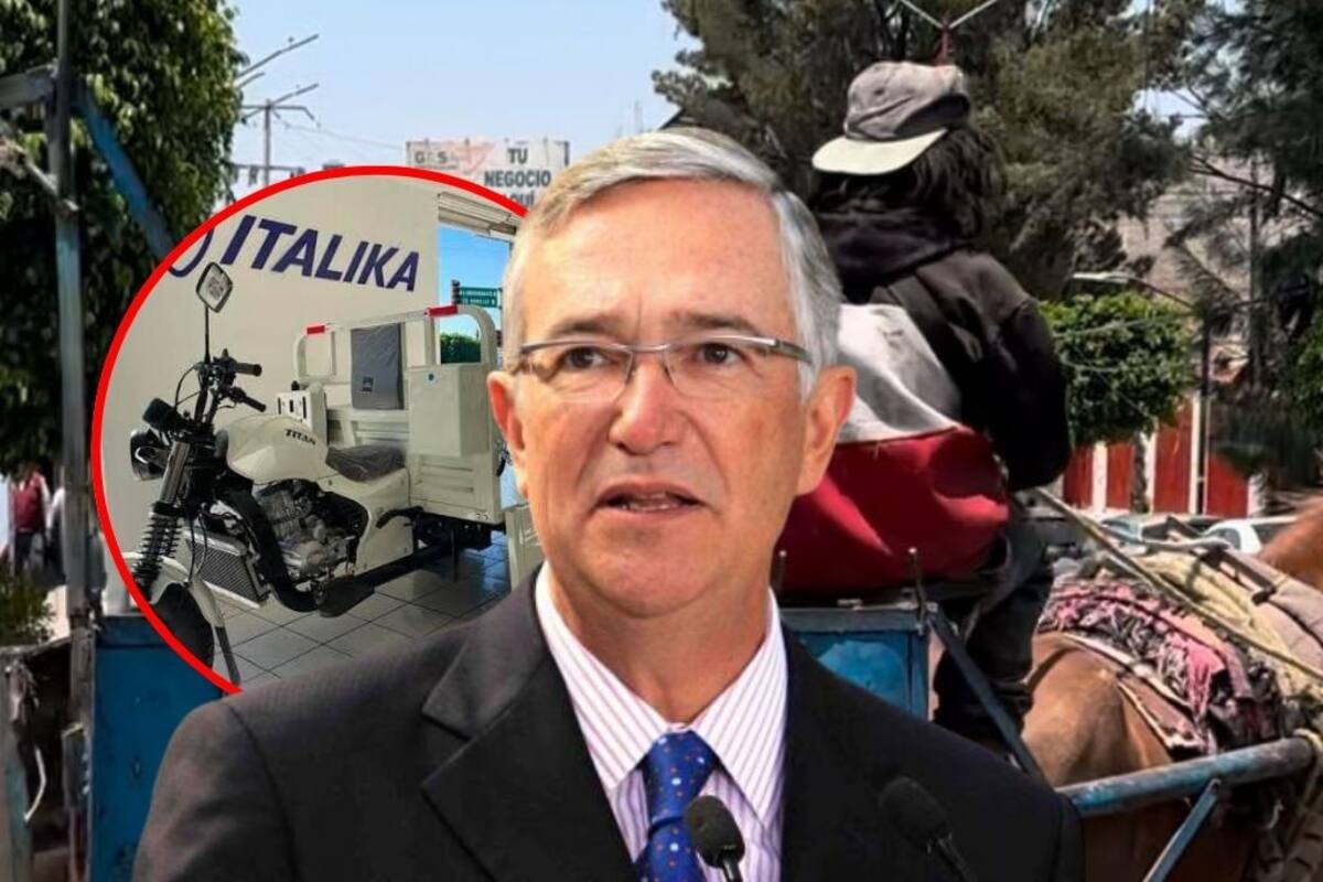 Salinas Pliego ayuda a retirar al caballo carretonero ‘Pancho’ el principal apoyo de una pareja de la tercera edad