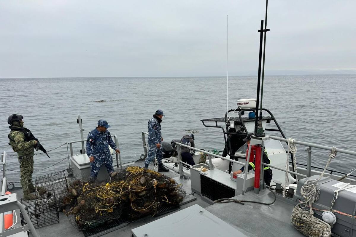 Semar intensifica operativos para erradicar la pesca ilegal de langosta
