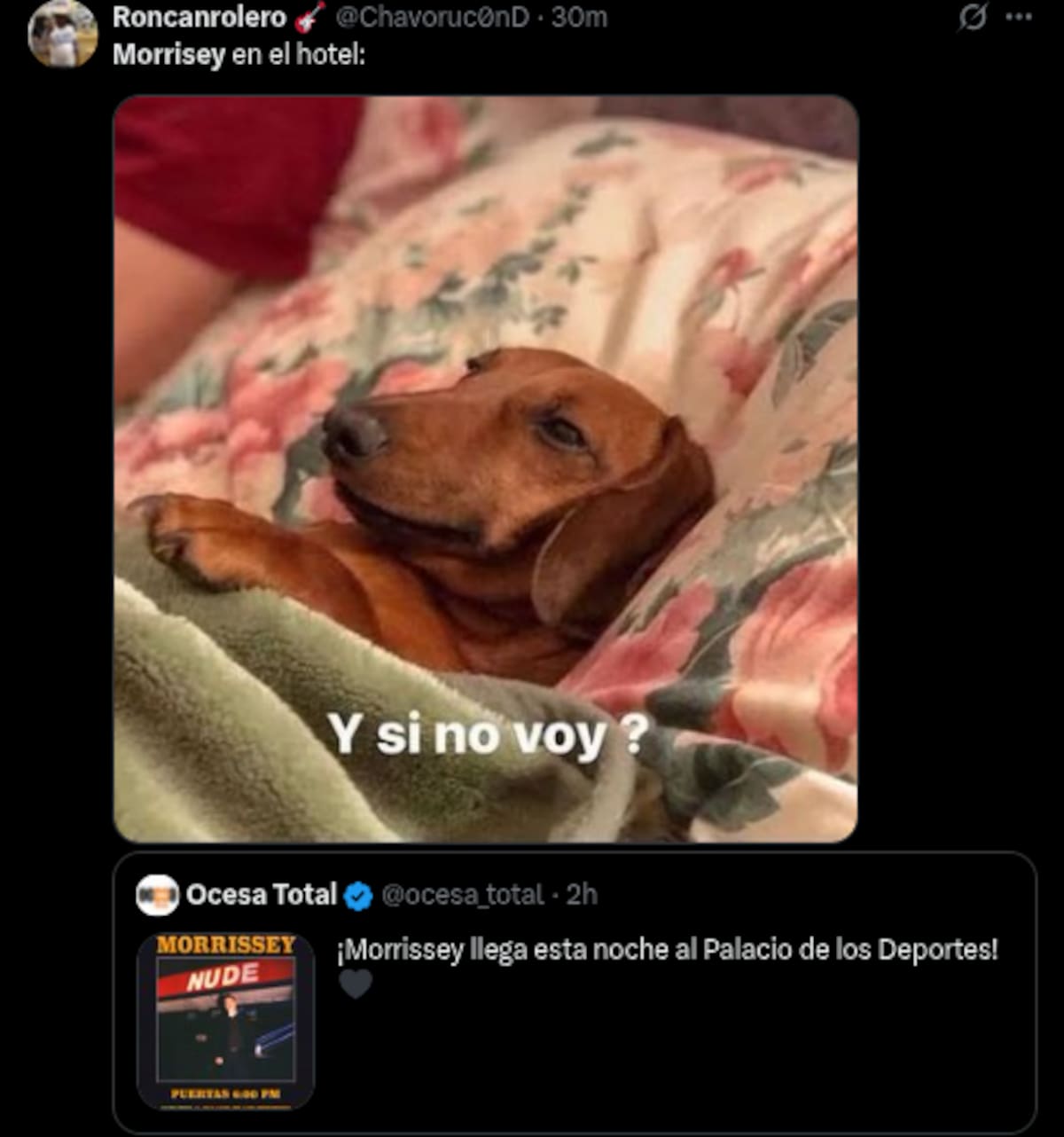 Memes del concierto de Morrisey en el Palacio de los Deportes 2025 | Cuenta de X: @Chavoruc0nD