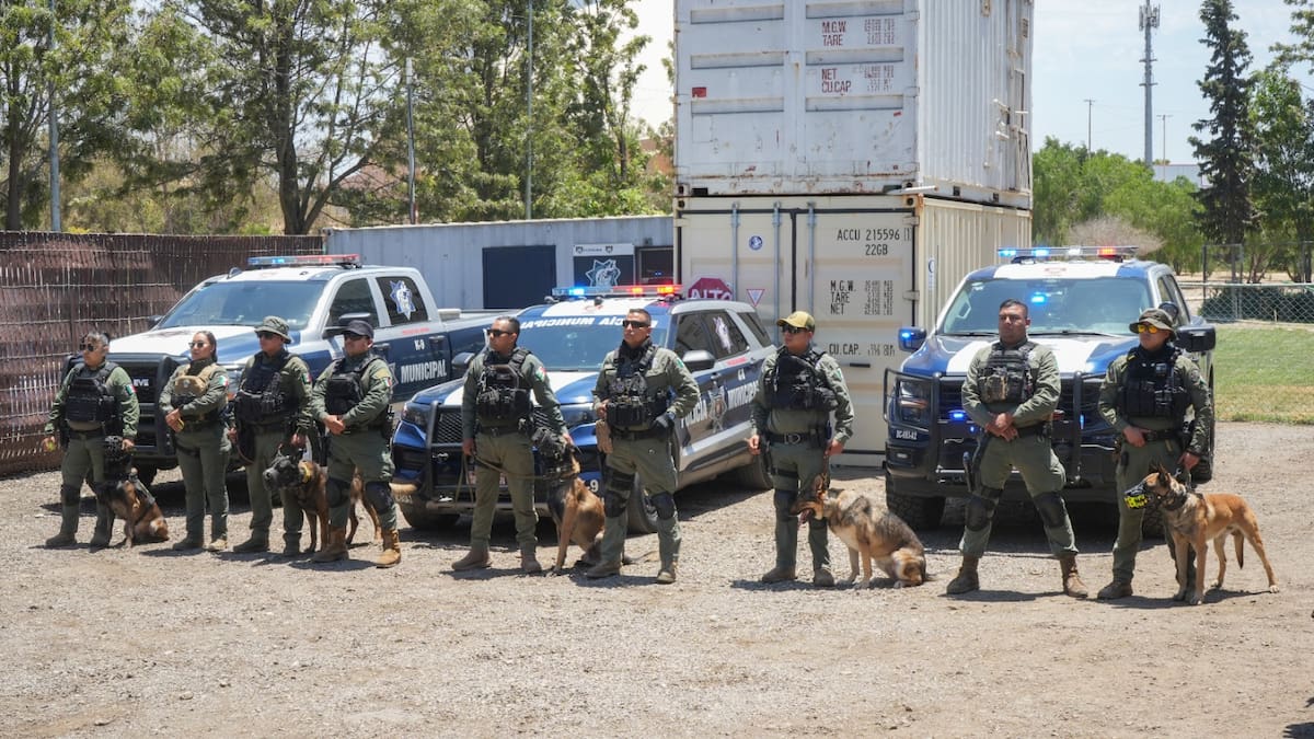 Rambo, integrante de la Unidad K9 desde 2016, fue despedido con honores tras una trayectoria dedicada a la detección de explosivos y labores preventivas en Tijuana. Foto: Cortesía