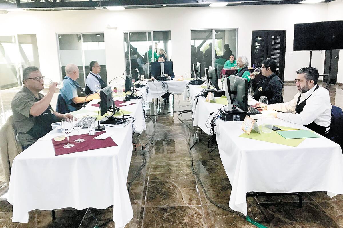 Participan 300 etiquetas en concurso internacional Ensenada Tierra del Vino