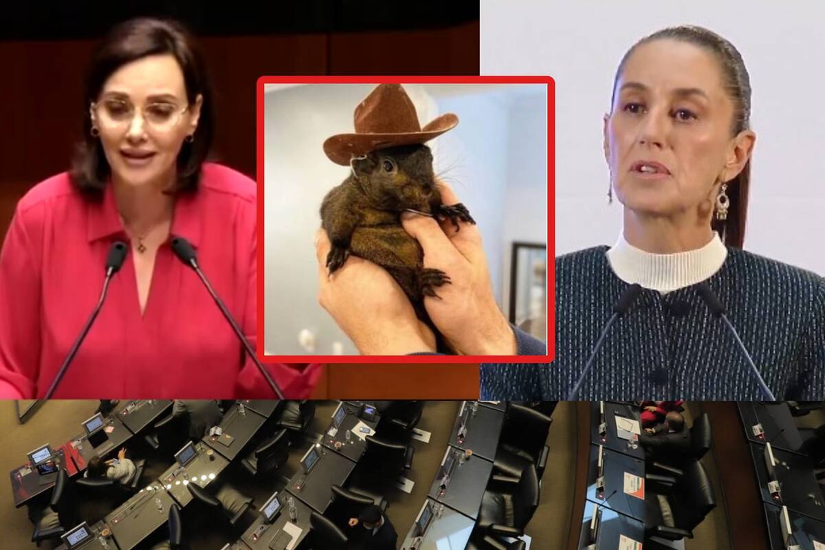 Lilly Téllez asegura que la muerte de la ardilla en EU ha generado más “escándalo” que lo que ha hecho Sheinbaum desde que tomó el poder