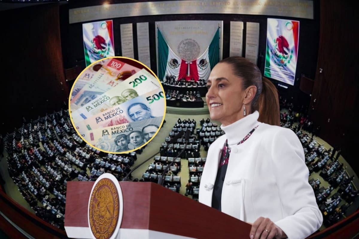 Claudia Sheinbaum quiere disminuir el salario de los diputados para que nadie gane más que ella y lo va a incluir en la nueva propuesta para la Reforma Electoral que presentará ante el Congreso de la Unión