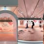 The Ordinary hace polémica exposición sobre poros y cutis, la llaman “El patio de juegos de los poros”