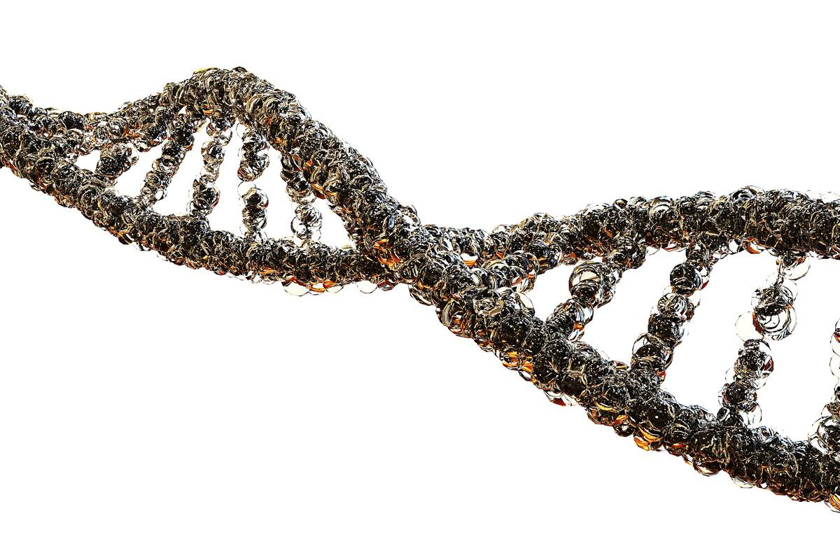 Trastorno bipolar, esquizofrenia y longevidad comparten genes