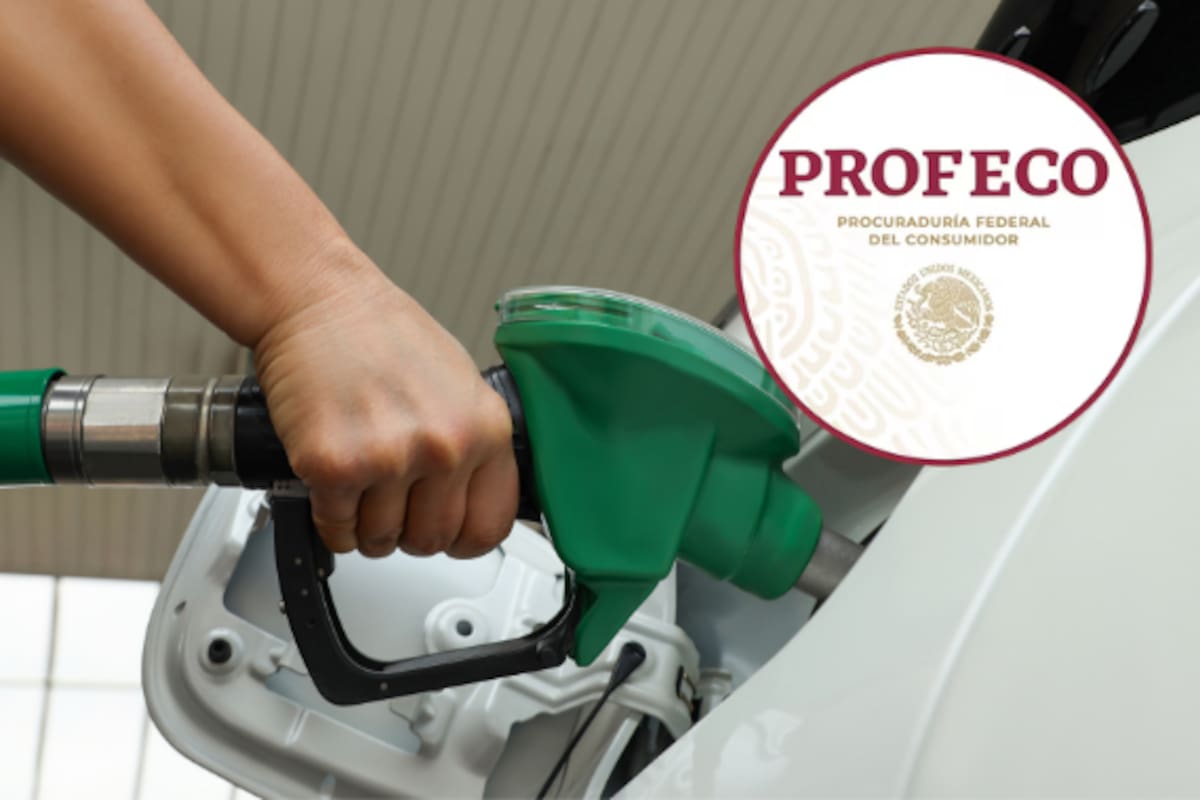Profeco revela cuál es el precio promedio del diésel en México por litro y pide a los automovilistas comparar costos mediante su mapa oficial de gasolineras