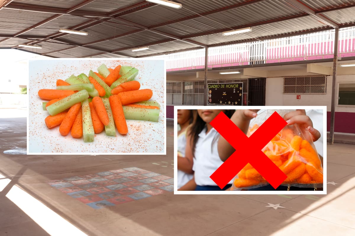 Escuelas ven un reto en la prohibición de comida chatarra: ¿Qué estará permitido y qué no se podrá vender a los niños?