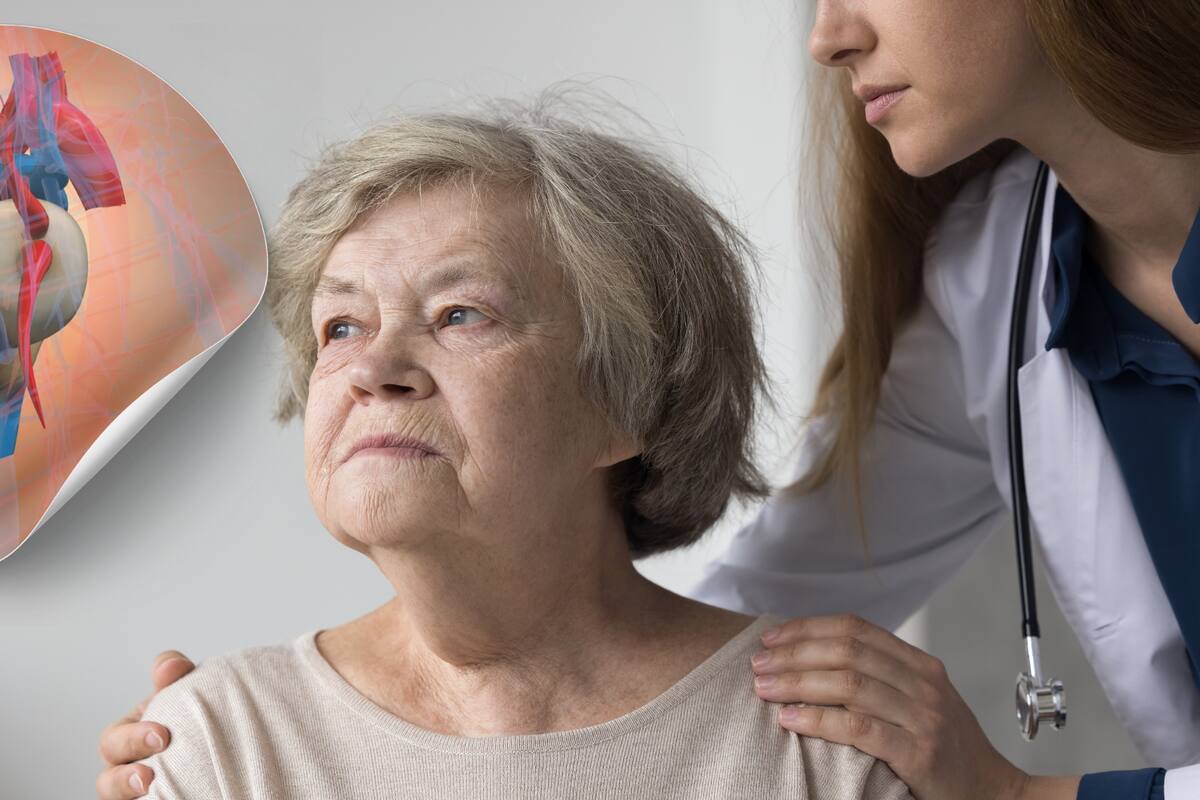 Cardiólogo recomienda: señales de salud del corazón que no debes ignorar en tus 40, 50 y 60 años