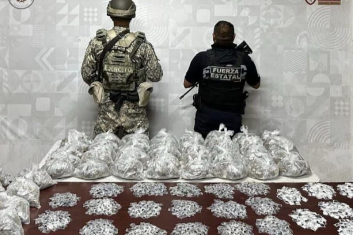 Casi 300 narcomenudistas detenidos en BC