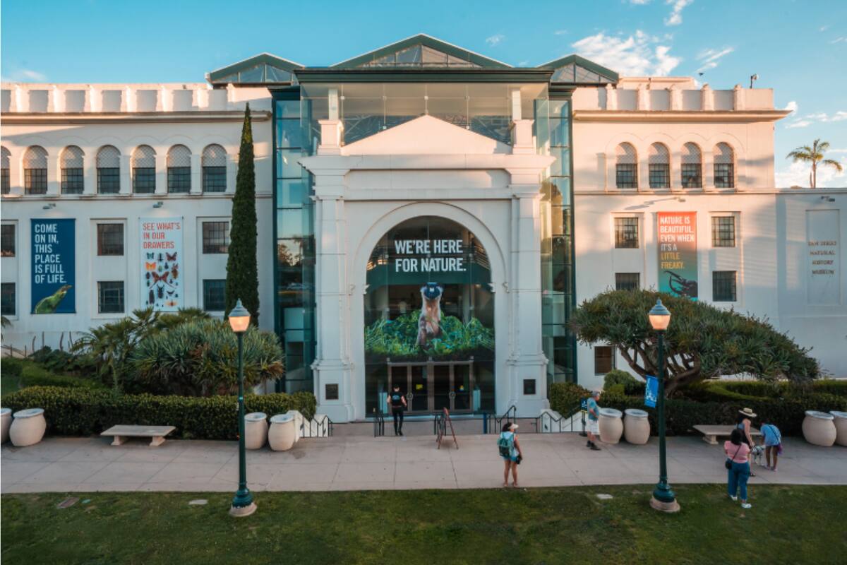 Museo de Historia Natural de San Diego reabrirá atrio, teatro y exhibiciones renovadas este 21 de noviembre