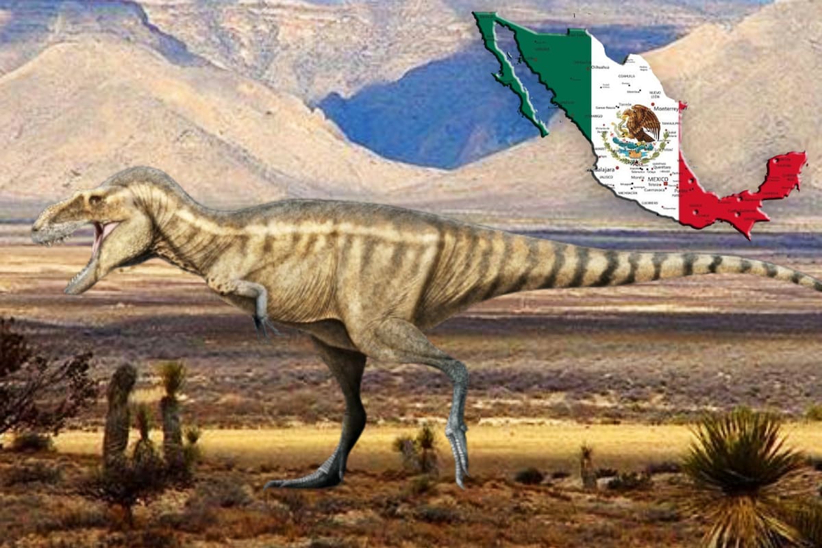 Encuentran restos de un ‘primo’ del Tiranosaurio Rex en el desierto mexicano, revela el NYT