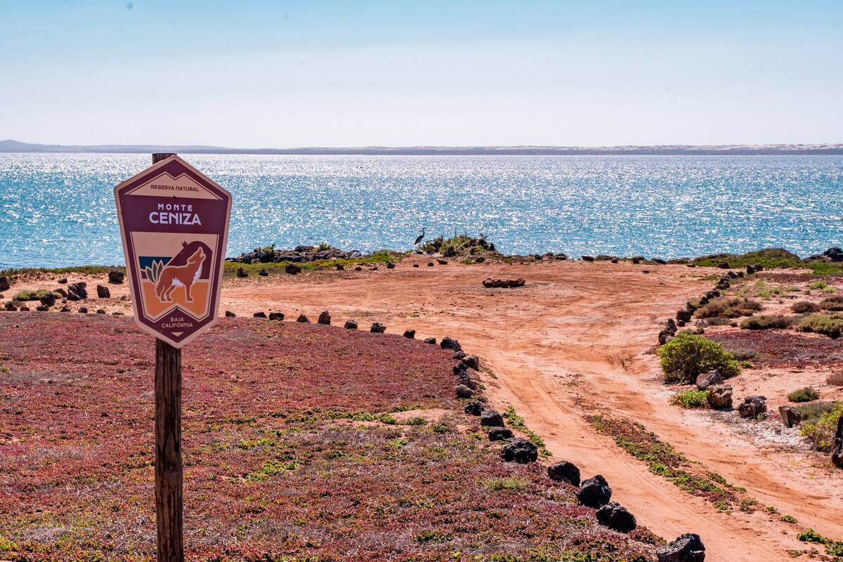 Invitan a visitar las reservas naturales de la Bahía de San Quintín