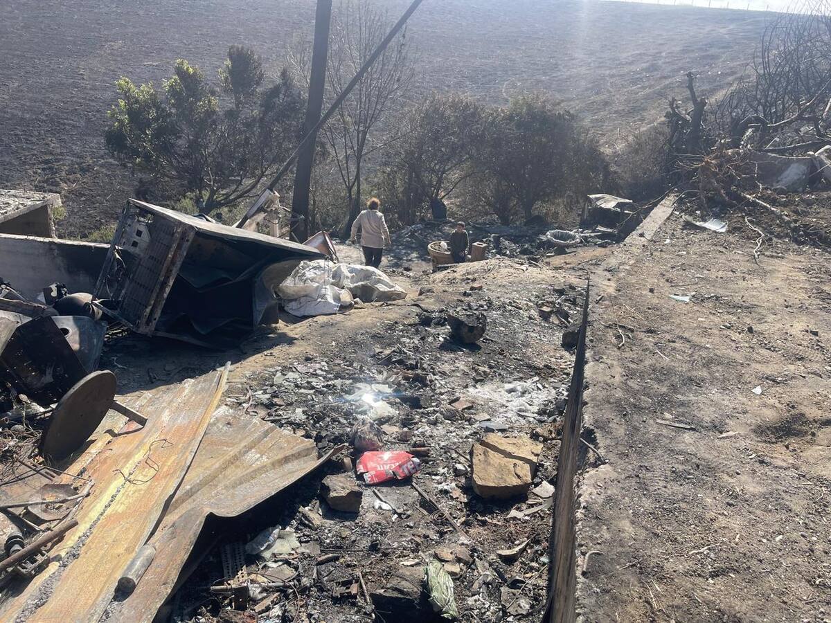 Foto: Carmen Gutiérrez