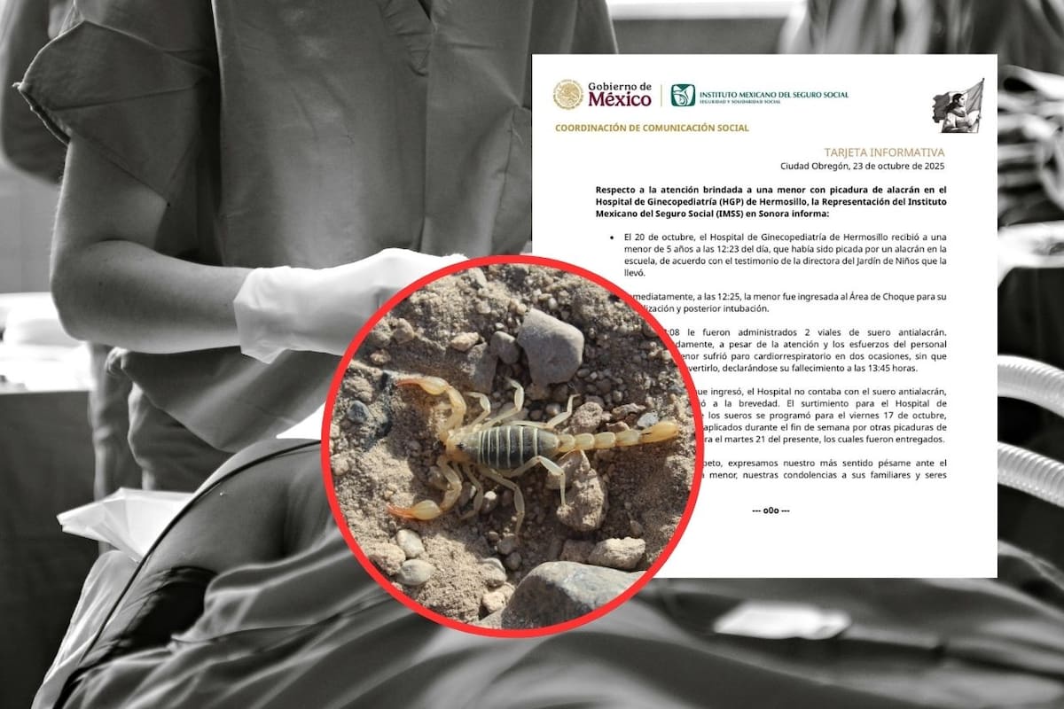 Niña de cinco años picada por un alacrán en Hermosillo falleció mientras recibía atención médica