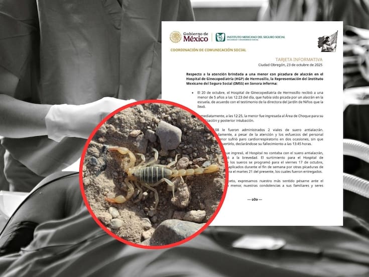 Niña de cinco años picada por un alacrán en Hermosillo falleció mientras recibía atención médica
