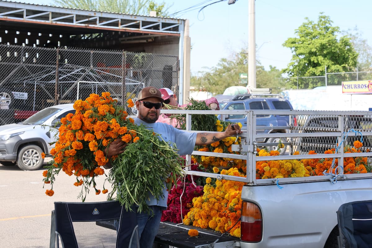El ramo de cempasúchil mantiene su precio de 80 pesos para Día de Muertos en Hermosillo, pese a las lluvias que afectaron parte de los cultivos en Sonora
