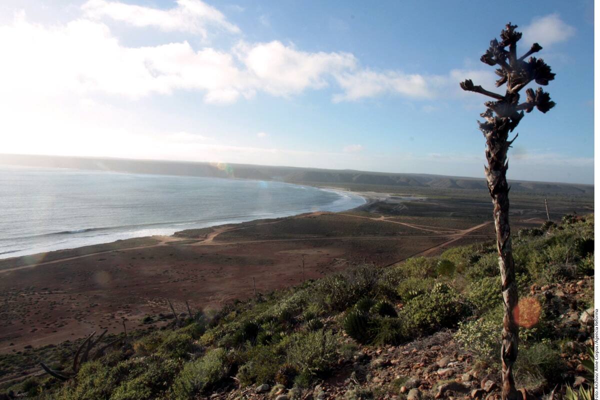 Inicia estado expropiación para Puerto Bahía Colonet