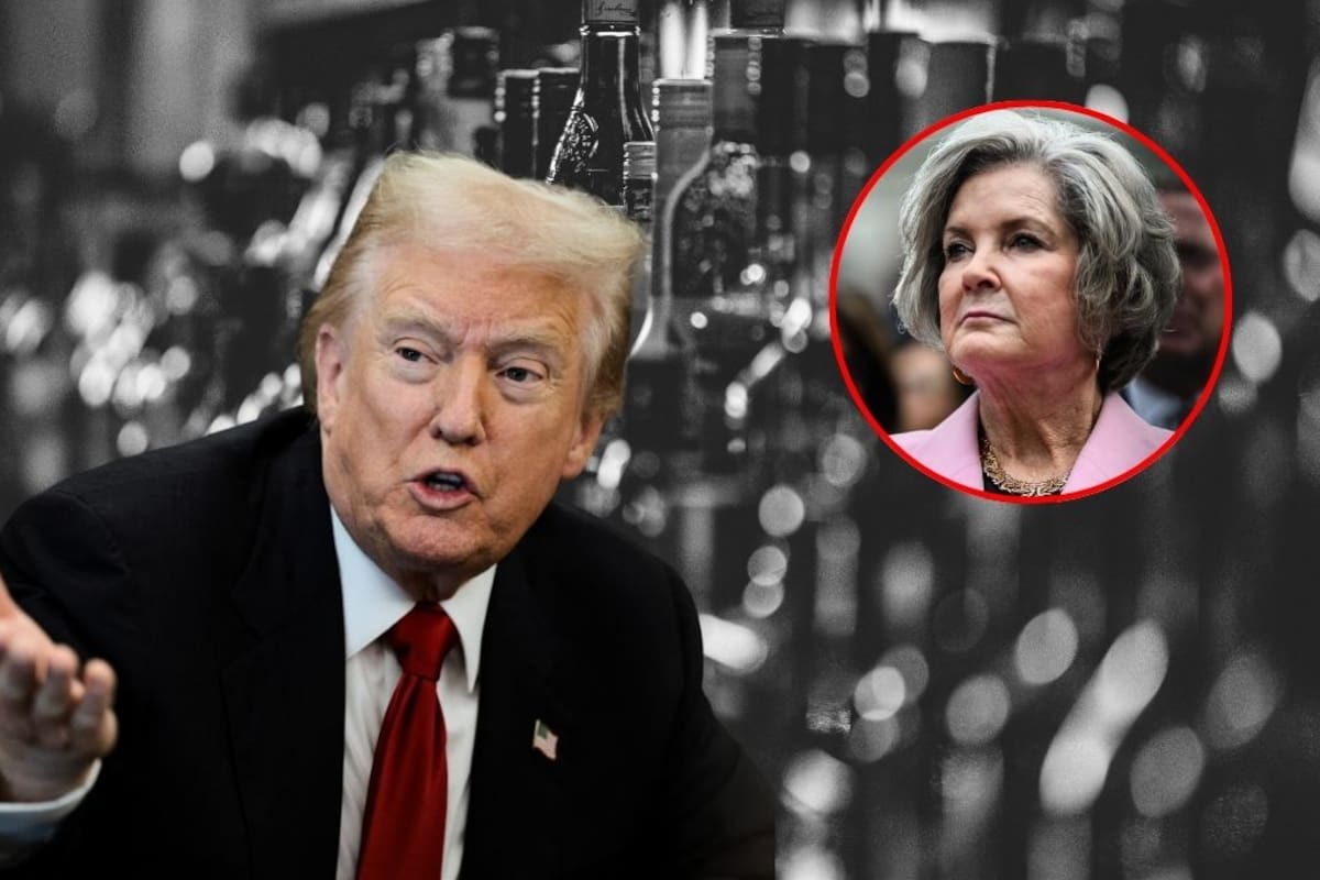 Tiene “personalidad de alcohólico”: así explica la jefa de gabinete de la Casa Blanca la forma de actuar de Donald Trump “no hay nada que no pueda hacer”