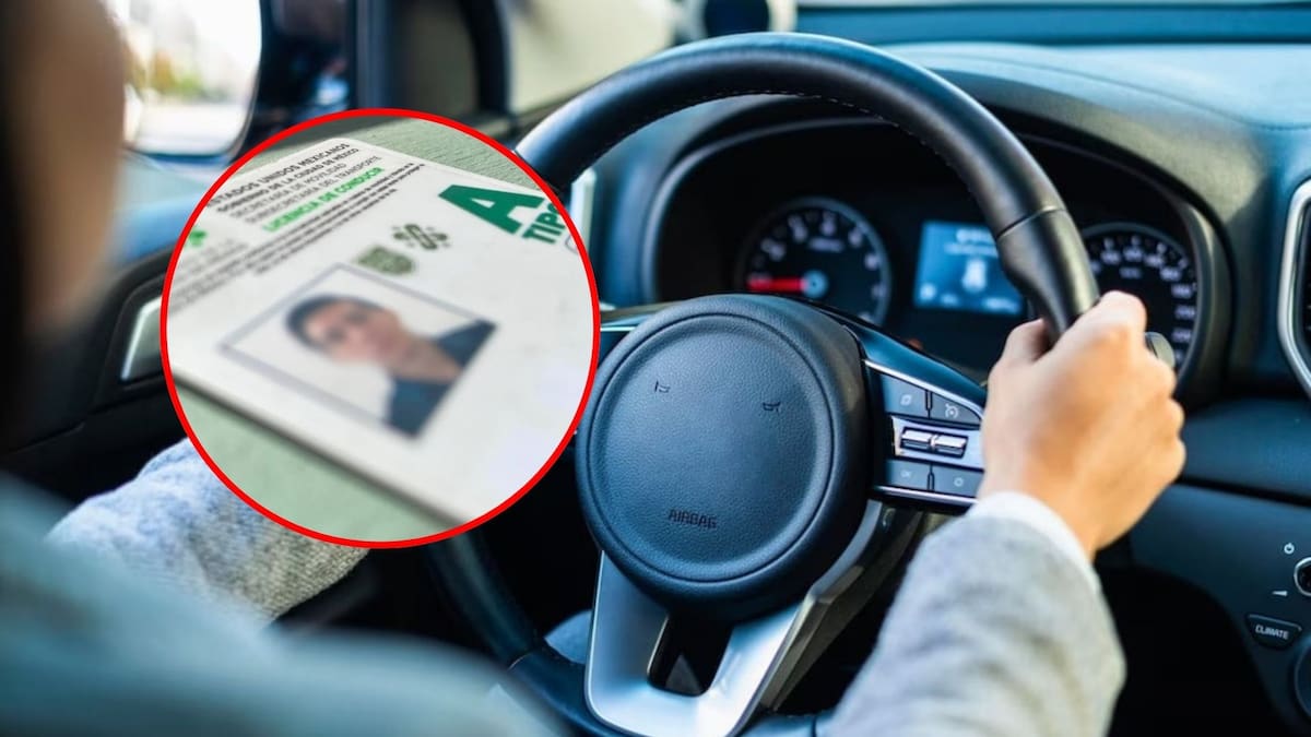 Fotografías ilustrativas de licencia de conducir permanente / especial