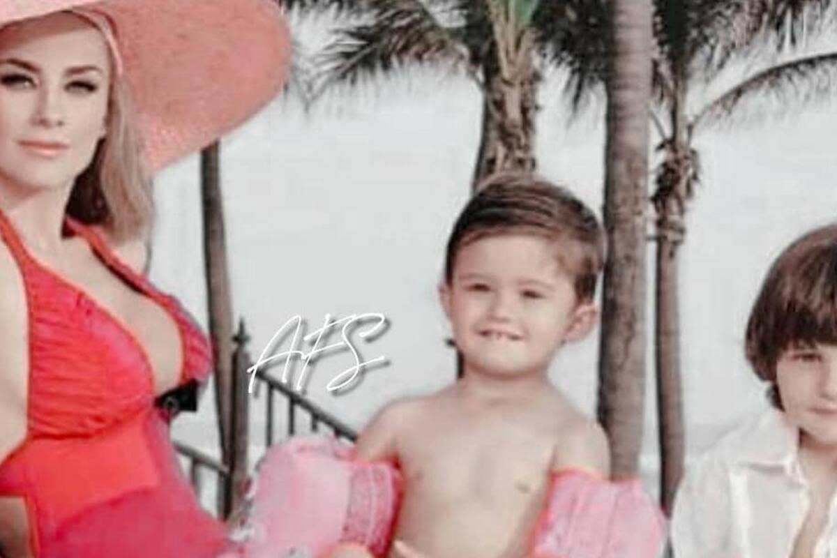 Aracely Arámbula arremete contra la prensa al invadir su privacidad y ser captada junto a su hijo
