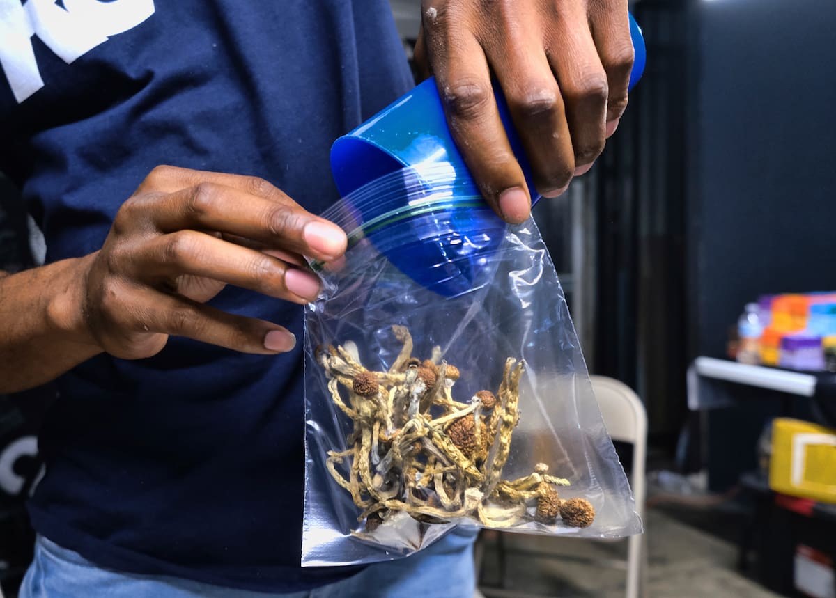 FILE - In this May 24, 2019, file photo a vendor bags psilocybin mushrooms at a pop-up cannabis market in Los Angeles. Voters in Oregon in November 2020 will decide on a measure that would legalize therapeutic, regulated use of psilocybin. The measure would require the Oregon Health Authority to allow licensed, regulated production and possession of psilocybin exclusively for administration by licensed facilitators to clients. (AP Photo/Richard Vogel, File)