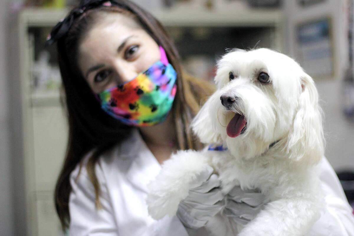 Veterinario; Profesión de vocación y amor a los animales