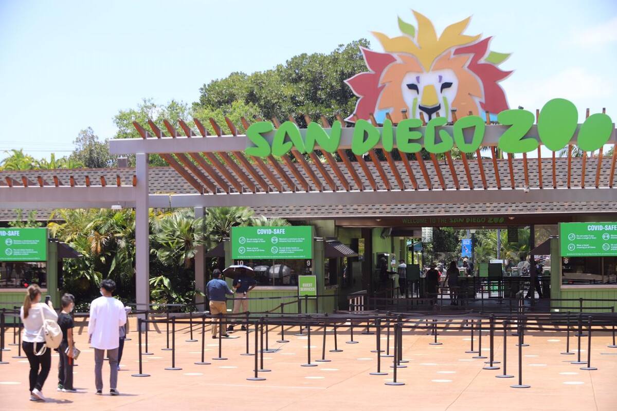 Reabre sus puertas el Zoológico de San Diego