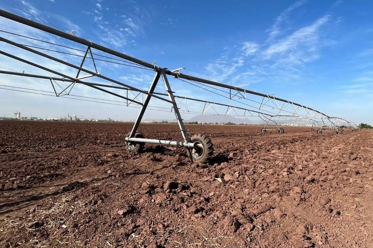 Afectaciones por sequía en el Sur de Sonora superarán proyecciones iniciales, aseguran