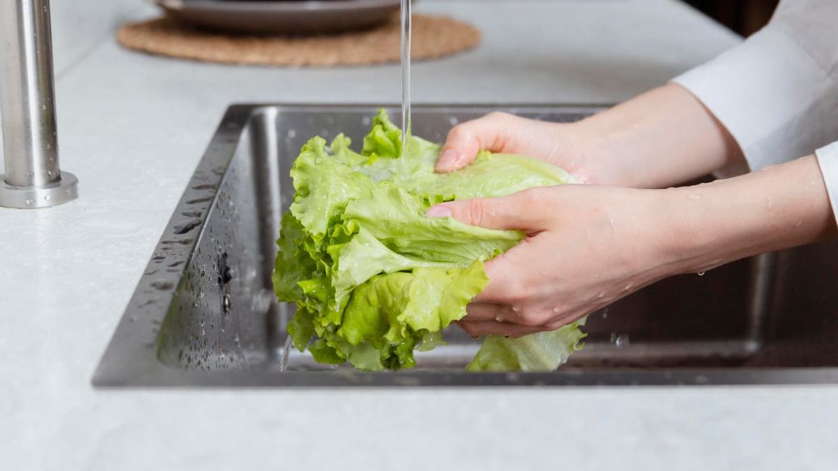 Esta es la mejor forma de lavar la lechuga en casa paso a paso para eliminar bacterias, evitar enfermedades gastrointestinales y consumirla de forma segura