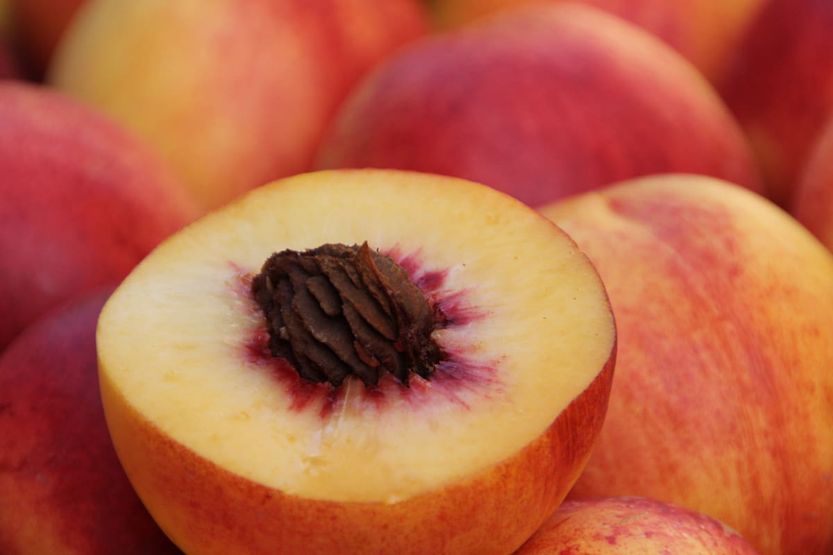 ¿Cúales son las consecuencias en la salud de comer duraznos a diario?, según los expertos