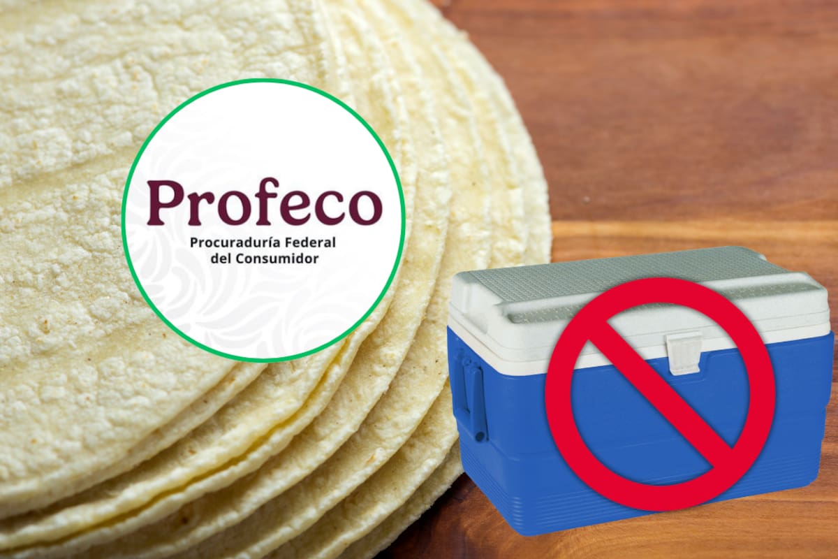 ¡Cuidado!: Profeco multa a comercios que vendan tortillas en hieleras y las sanciones pueden alcanzar los 4 millones de pesos; ¿Por qué es un problema vender tortillas en hieleras?