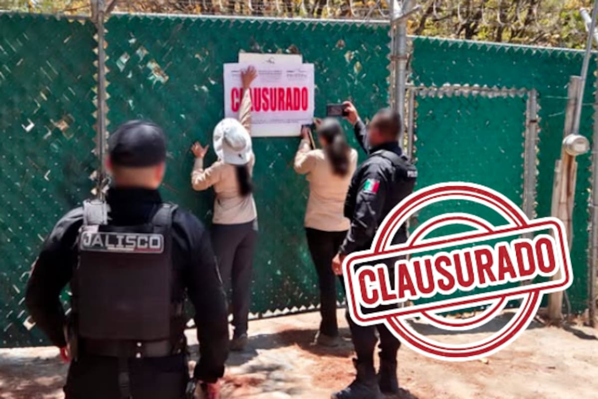 Clausura Profepa dos predios por daños ambientales en el Bosque La Primavera