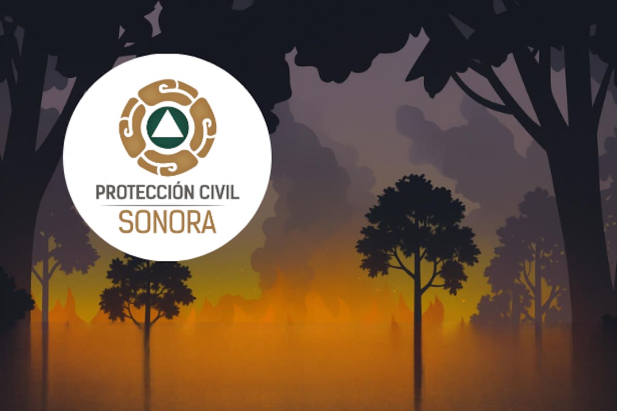 Protección Civil de Sonora emite recomendaciones para prevenir incendios forestales