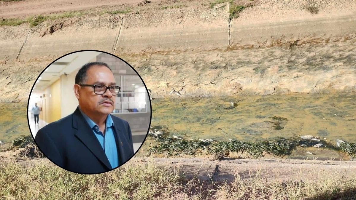 Deben evaluarse efectos de derrame en canales del VY: Investigador