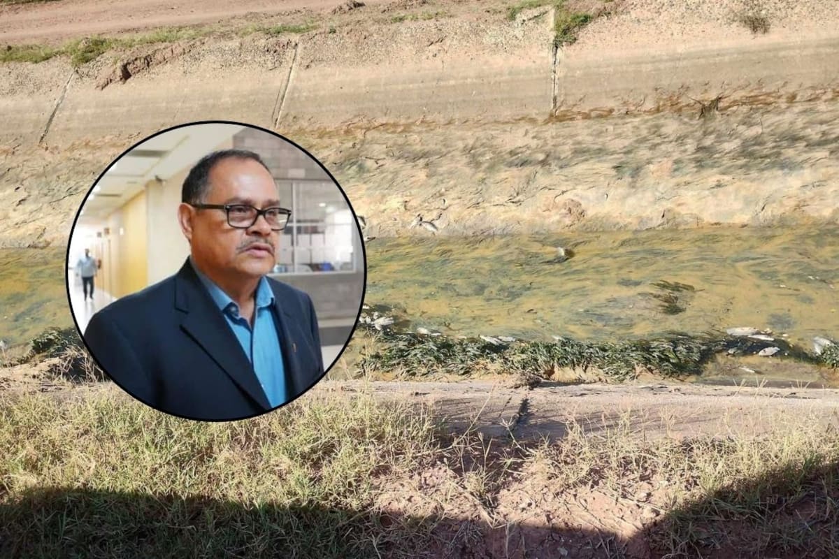 Deben evaluarse efectos de derrame en canales del VY: Investigador