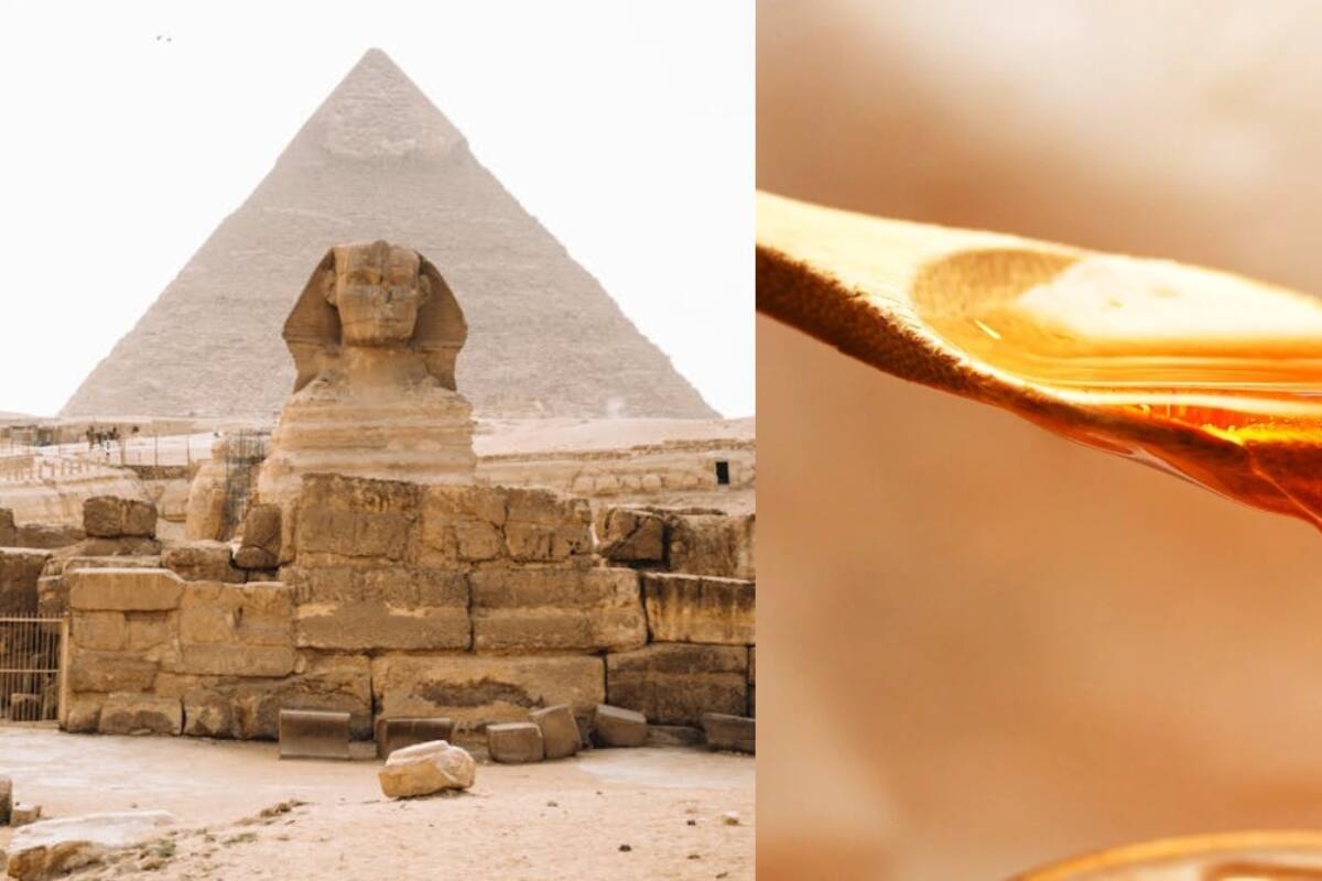 “¡Tiene más de 3 mil años y aún es comestible!”: Encuentran miel en tumbas egipcias