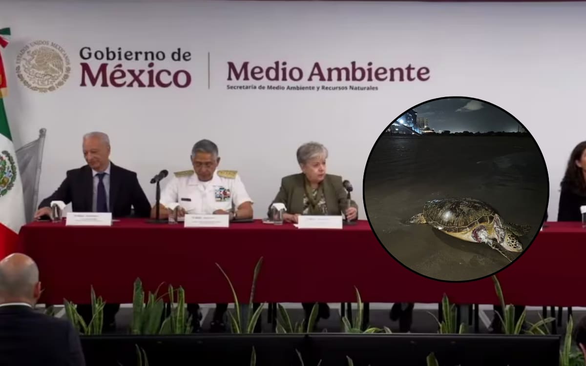 Marina investiga derrame petrolero en el Golfo de México; 13 buques bajo revisión. Foto: Captura de pantalla, Greenpeace/ Cuartoscuro