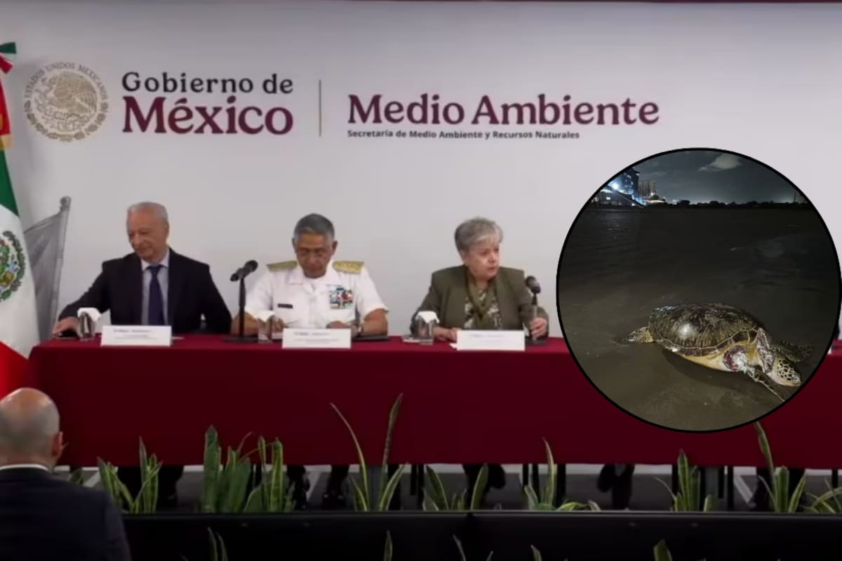 Derrame petrolero en el Golfo de México: Marina investiga a 13 buques y alista denuncias penales