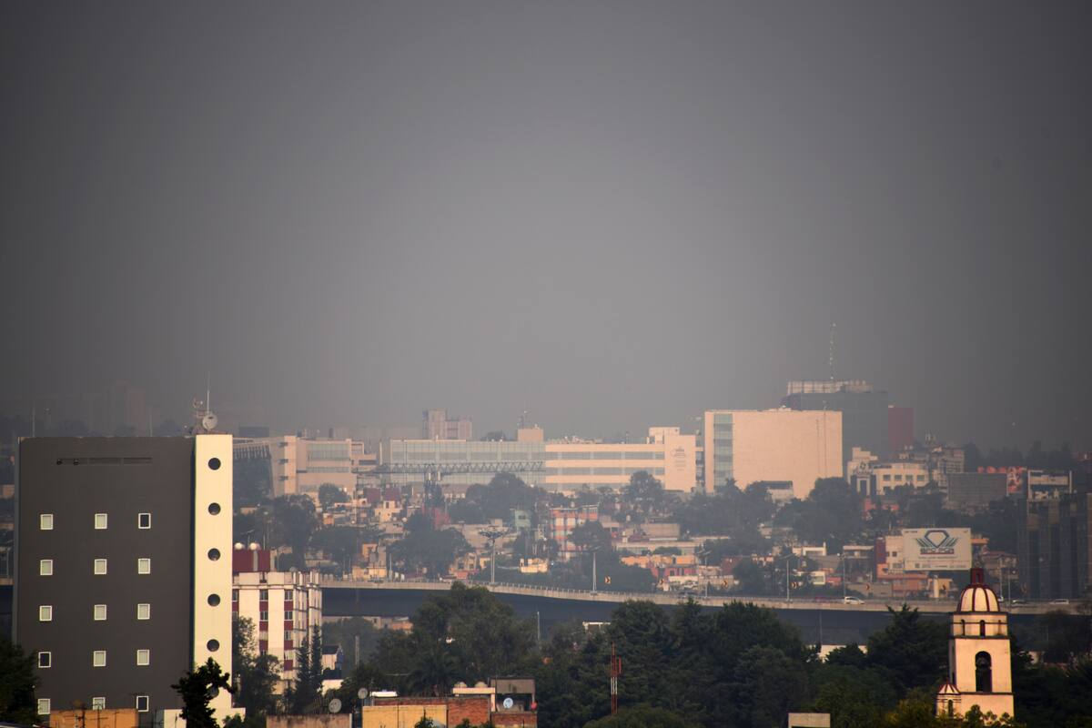 En 1987 murieron pájaros por contaminación en la CDMX